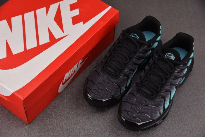 Nike Air Max Plus Black Aurora Green DM0032-016
