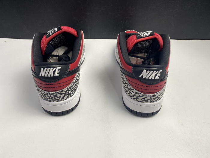 NIKE Dunk SB 313170-600