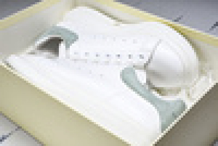 Ale*d*r M*Q*en E2728