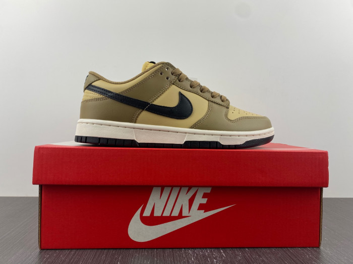 nike dunk low dark driftwood dd1503-200